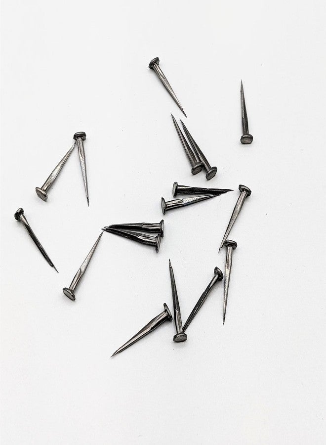 USTAD Cobbler Nails 1/2 inch For Wood, Wall, Shoes, Chappals, Furniture, Doors, Cabinets, Frame, Carpenters, DIY, Hand Craft Use (500) - Image 1